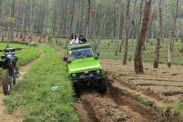 Galeri Jeep Coban Talun 14