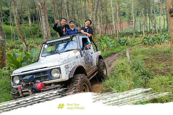 Medium Trip jtc